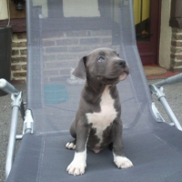 Photo #195559 de Ekon