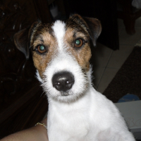 Photo #195619 de Snoop