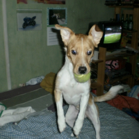 Photo #195626 de Kana