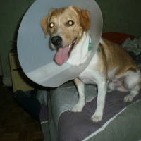 Photo #195631 de Kana