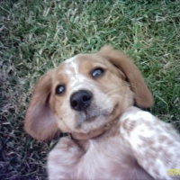 Photo #195671 de Cora