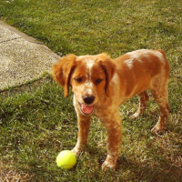 Photo #195672 de Cora