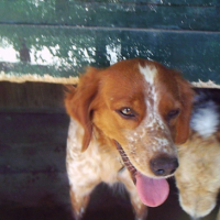 Photo #195673 de Cora