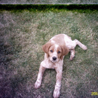 Photo #195675 de Cora