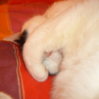 Photo #195678 de Zizou