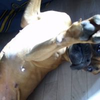 Photo #195690 de Kiara