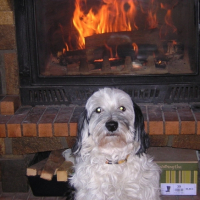 Photo #195795 de Scoty