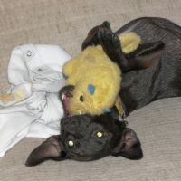 Photo #195797 de Cybelle