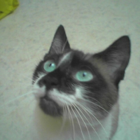 Photo #195888 de Kanelle