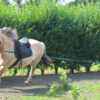 Photo #195917 de Jupiter