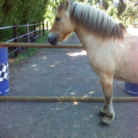 Photo #195919 de Jupiter