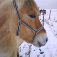 Photo #195927 de Jupiter