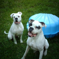 Photo #195932 de Veron