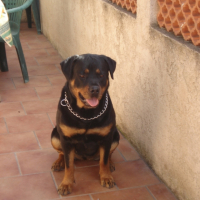 Photo #195974 de Tina