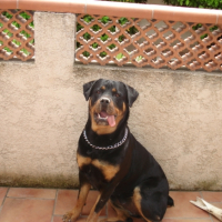 Photo #195978 de Tina