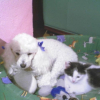 nours_skip