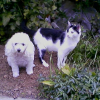 img060902-1904