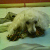 img060925-1748
