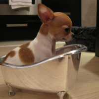 Photo #195993 de Elie
