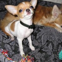Photo #195995 de Elie