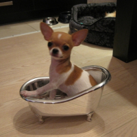 Photo #196004 de Elie