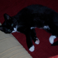 Photo #196101 de Filoute