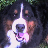 Photo #196116 de Kass