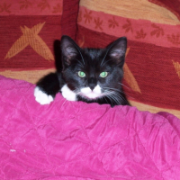 Photo #196140 de Filoute