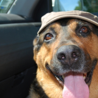 Photo #196200 de Lucky
