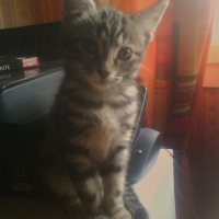 Mon bébé