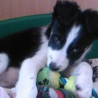Photo #196389 de Delfi