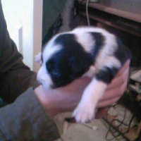 Photo #196391 de Delfi