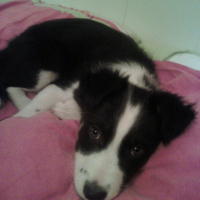 Photo #196392 de Delfi