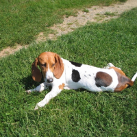 Photo #196393 de Roxanne