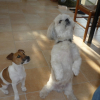Ma Roxy