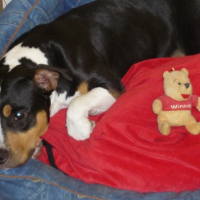 Photo #196442 de Doly