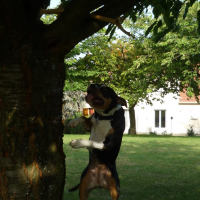 Photo #196444 de Doly