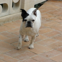 photos_bahia_010