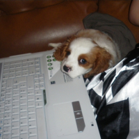 Photo #196492 de Eros