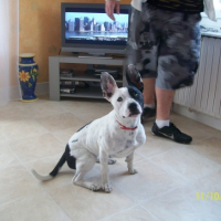 Photo #196597 de Danka