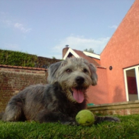 Photo #196631 de Titou