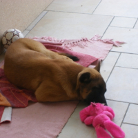 Eyko qui fait dodo
