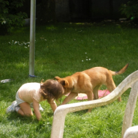 Photo #196648 de Eyko
