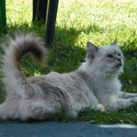 Photo #196666 de Namouche 