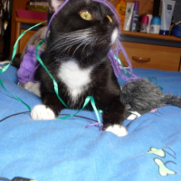 Photo #196669 de Pacha