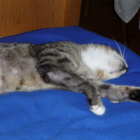 Photo #196680 de Sacha