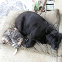 Photo #196706 de Lara