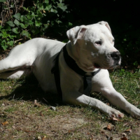 Photo #196758 de Vesta