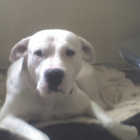 Photo #196761 de Vesta