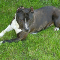 Photo #196774 de Uness